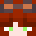 Player skin of zelda2072