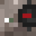 Player skin of NekoHunter