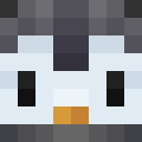 Player skin of Paulivs