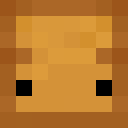 Player skin of MR_Bread_Invis