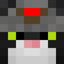 Player skin of mikimoosey