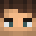 Player skin of Aero4Fox2YT