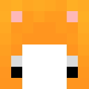 Player skin of LEO9247