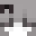 Player skin of Rodo3410