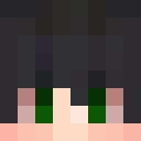 Player skin of TheRobinDaHood