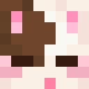 Player skin of vixint_