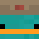 Player skin of rekiad