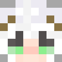 Player skin of MrKlownC