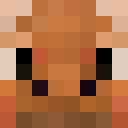 Player skin of RaivenPie