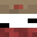 Player skin of dortus15
