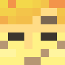 Player skin of Skinman144