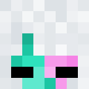 Player skin of CRH244