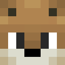 Player skin of Akkings369
