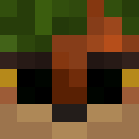 Player skin of mossyfop