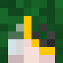 Player skin of 13onnie