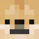 Player skin of comedy_canine