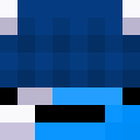 Player skin of riggid_
