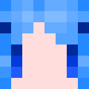Player skin of Great_cormorant