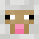 Player skin of xconqor