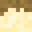 Player skin of Otech_