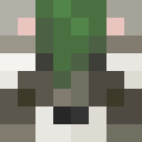 Player skin of The_King_Racc
