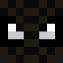 Player skin of XxInSaNeCrUnKxX