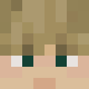 Player skin of AnOkayGaymer