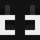 Player skin of Fluxxqr