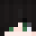 Player skin of Arashi_inku
