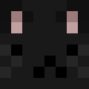 Player skin of hirakolukoti