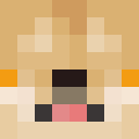 Player skin of andrechappie