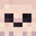 Player skin of Sudo_Player