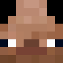Player skin of p1ngon