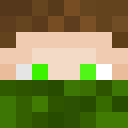 Player skin of Sedum_Paul