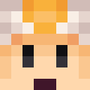 Player skin of Nani89