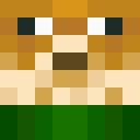 Player skin of Dorapin1129