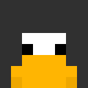 Player skin of Firebird4562