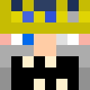 Player skin of gluester55