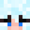 Player skin of SnowPanda22