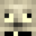 Player skin of oOtesterOo