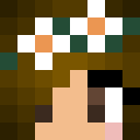 Player skin of lightpaths