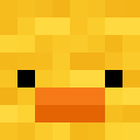 Player skin of chickensaredumb
