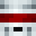 Player skin of Agent_Storm
