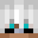 Player skin of itsjustchi