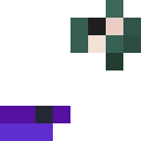 Player skin of FehlanzeigeMC