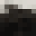 Player skin of ppabloo_