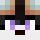 Player skin of Fhixky