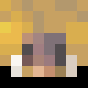 Player skin of Capris_Dad