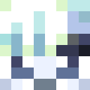 Player skin of spzi_