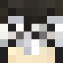 Player skin of TheMinecraft